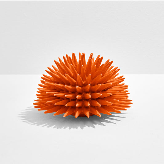 Riccio Caprese Decor