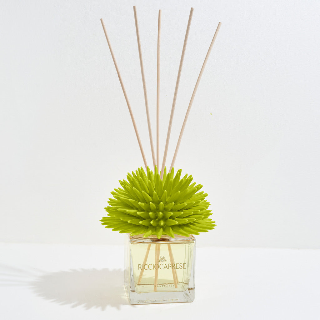 Riccio Diffuser